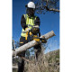 DeWALT cordless chain saw brushless 18V bar 30cm 3/8  without battery and charger (DCM565N)