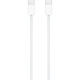 Клавиатура Apple Magic Keyboard with Touch ID Bluetooth/USB UA White (MXK73UA/A)