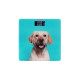 ARDESTO Scales for floor DOG, 150кг, 2хААА included, glass, multi-colored (SCB-965DOG)