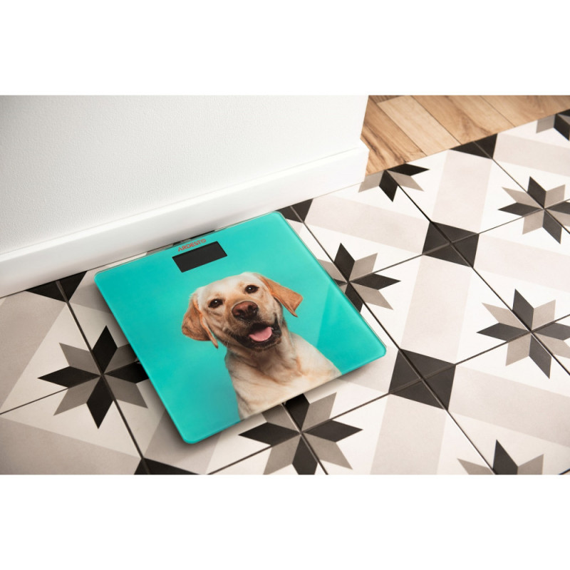 ARDESTO Scales for floor DOG, 150кг, 2хААА included, glass, multi-colored (SCB-965DOG)