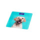 ARDESTO Scales for floor DOG, 150кг, 2хААА included, glass, multi-colored (SCB-965DOG)