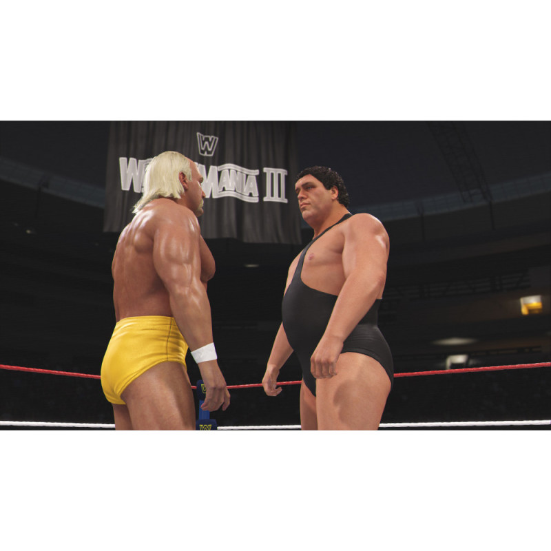 Games Software WWE 2K24 [BD диск] (PS4) (5026555437042)