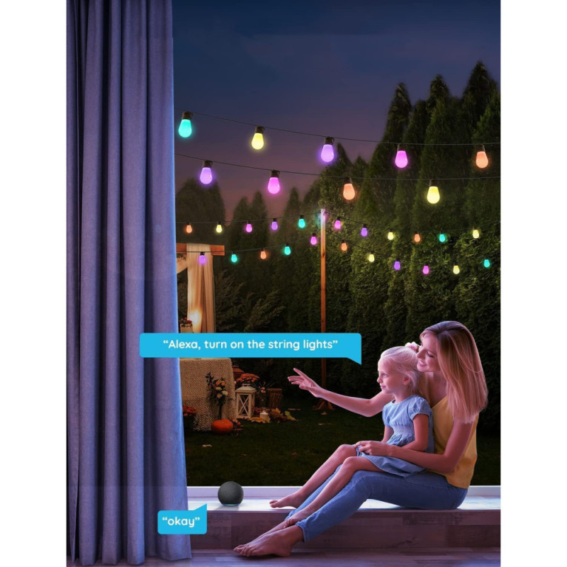 Govee LEB Bulb String Lights (H70203B1)