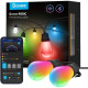 Govee LEB Bulb String Lights (H70203B1)