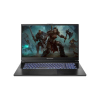 Dream Machines Ноутбук RG4050-17 17.3FHD IPS, Intel i7-13620H, 16GB, F1TB, NVD4050-6, DOS, черный