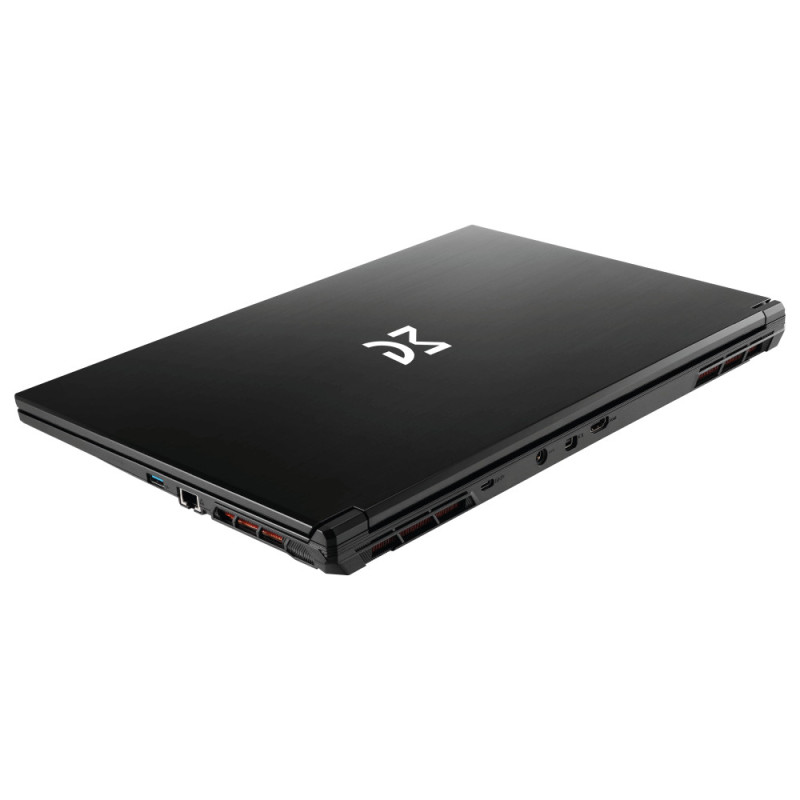 Dream Machines Notebook RG4050-17 17.3FHD IPS, Intel i7-13620H, 16GB, F1TB, NVD4050-6, DOS, black