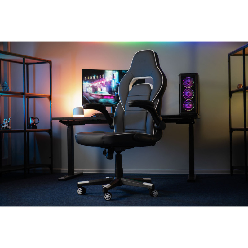2E Gaming Chair HEBI Black/White (2E-GC-HEB-BKWT)