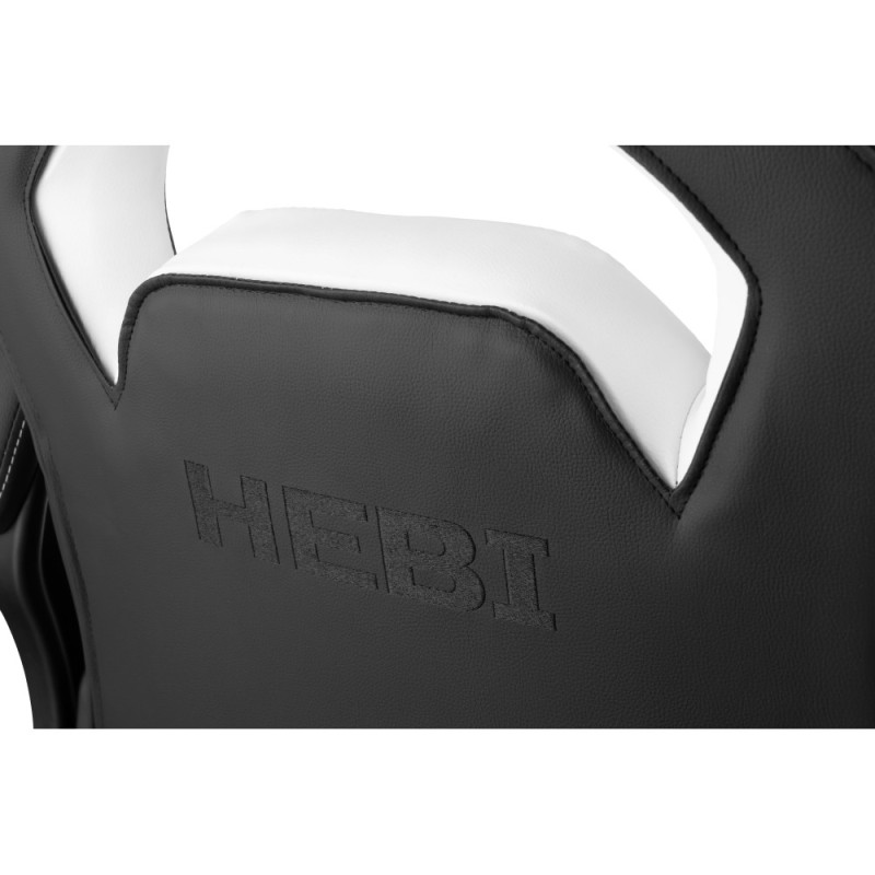 2E Gaming Chair HEBI Black/White (2E-GC-HEB-BKWT)
