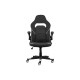 2E Gaming Chair HEBI Black/White (2E-GC-HEB-BKWT)