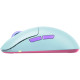 Cherry Xtrfy mouse M8 WIRELESS Frosty Mint (M8W-RGB-MINT)