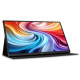 Монитор Acer PM161QTbmiuuux (UM.ZP1EE.007)