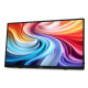 Монитор Acer PM161QTbmiuuux (UM.ZP1EE.007)