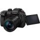 Panasonic Цифр. фотокамера DC-GH5M2 Kit 12-60 mm f2.8-4 (DC-GH5M2LEE)
