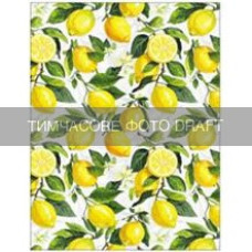 ARDESTO Рушник для кухні ARDESTO Sicilian lemons 50x68см, 100% бавовна, зелений (ART16LM)