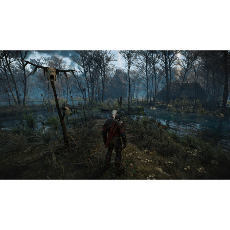 Games Software The Witcher 3: Wild Hunt Complete Edition [BD disk] (Xbox) (5902367641634)