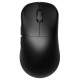 Мышка RAWM ES21 Wireless/Bluetooth Black (ES21.black)