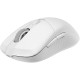 MSI Миша MSI VERSA 300 W WHITE, WIRELESS, RGB, WL, білий (S12-4301440-CLA)