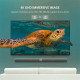Кабель мультимедийный Display Port to Display Port 5.0m V1.2 DP102 Ugreen (10213)