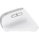 Мышка Trust Bayo+ Ergonomic Wireless/Bluetooth White (25399)