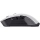 Trust Mouse GXT 923 YBAR WL White (24889_TRUST)