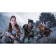Games Software Horizon Forbidden West Complete Edition [Blu-ray disc] (PS5) (1000040790)