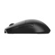 Мышка Endgame Gear XM2we Wireless Black (PGW-EG-MOU-020)