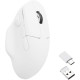 Keychron Mouse Keychron M7 BT/WL/USB-A/USB-C (M7-A3)