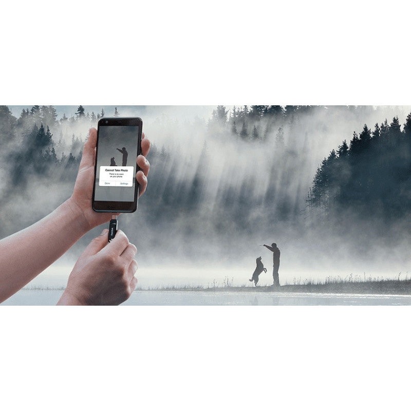 SanDisk 256GB USB-Type C Ultra Dual Drive Go (SDDDC3-256G-G46)