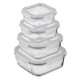 ARDESTO Food storage container Gemini 0.5l, borosilicate glass, plastic, square, transparent (AR1250BSQ)