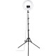 Набір блогера Hama Smartphone Tripod Steady-120 V2, 185см, Bluetooth, LED ring (00004659)