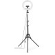 Набір блогера Hama Smartphone Tripod Steady-120 V2, 185см, Bluetooth, LED ring (00004659)