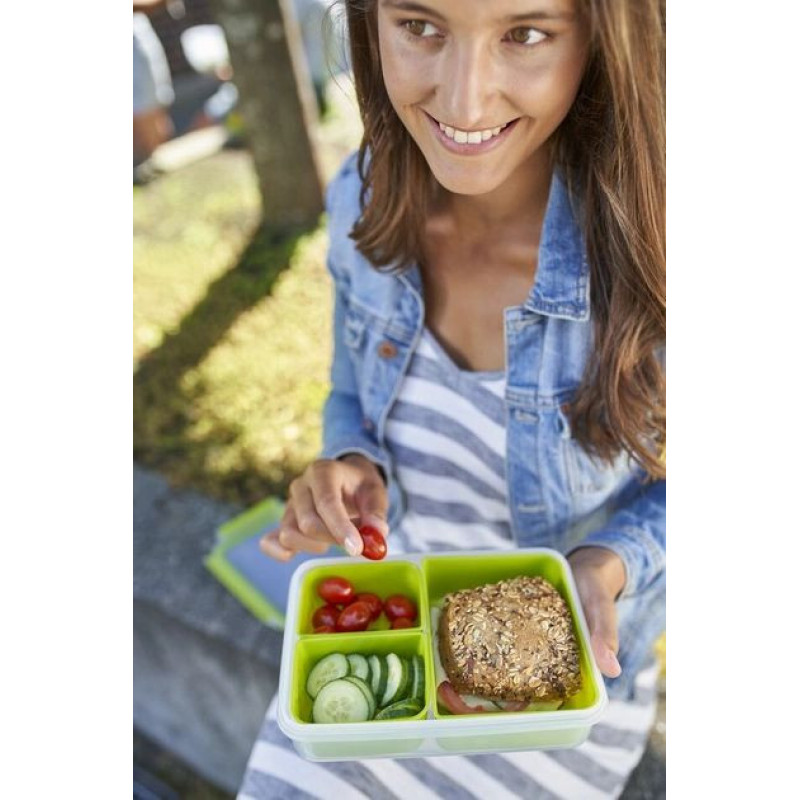 Tefal Food container MASTERSEAL TO GO 1.2 L, plastic (K3100412)
