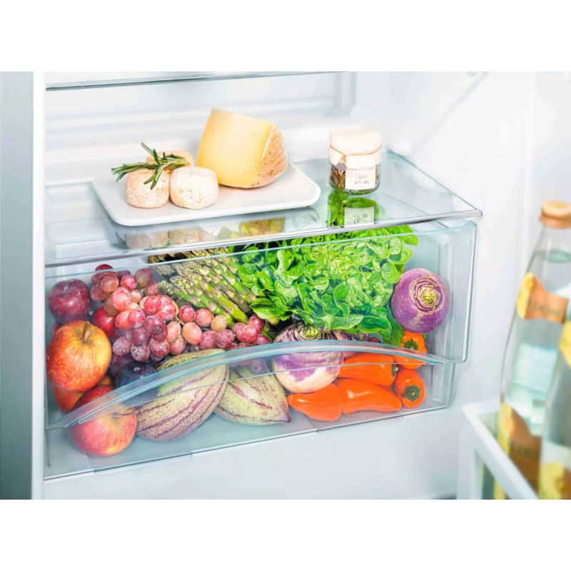 Liebherr Refrigerator with top freezer, 140x55x63, ref-189L, freez.-44L, 2 doors, A+, ST, white (CTE2531)