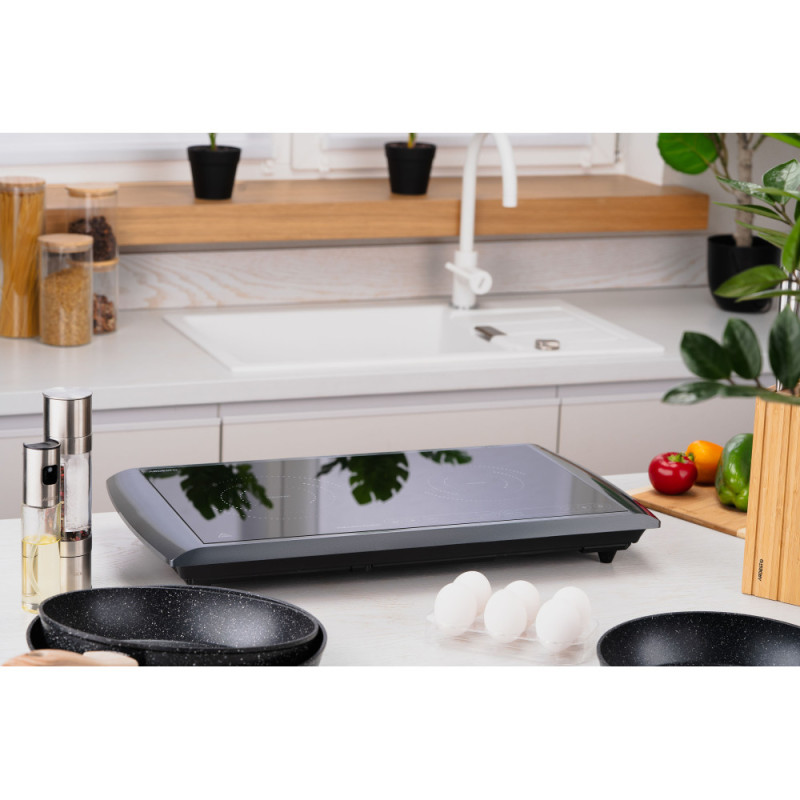 ARDESTO Table cooker induction, burner - 2, 1.3+1.6W, control - sensor, black (ICS-B217)