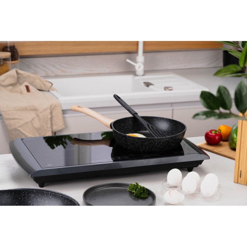 ARDESTO Table cooker induction, burner - 2, 1.3+1.6W, control - sensor, black (ICS-B217)