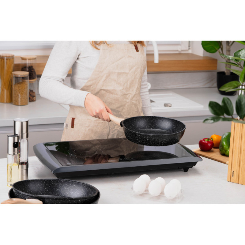 ARDESTO Table cooker induction, burner - 2, 1.3+1.6W, control - sensor, black (ICS-B217)