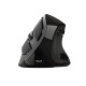 Trust Mouse Voxx Rechargeable Ergonomic WL Black (23731_TRUST)