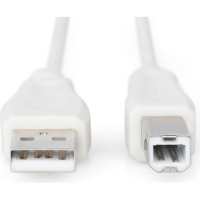 Кабель для принтера USB 2.0 AM/BM 1.8m Digitus (AK-300102-018-E)