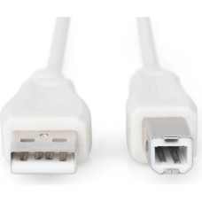 Кабель для принтера USB 2.0 AM/BM 1.8m Digitus (AK-300102-018-E)