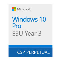 Операционная система Microsoft Windows 10 ESU Year 3 (2027 - 2028) Extended Security Updates (ESU) (DG7GMGF0SSGZ_0002)