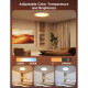 Govee Потолочний світильник 12" Smart Ceiling Light, RGBWW + RGBIC, WI-FI/Bluetooth, білий (H80A1C01)