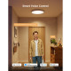 Govee Потолочний світильник 12" Smart Ceiling Light, RGBWW + RGBIC, WI-FI/Bluetooth, білий (H80A1C01)