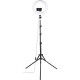 HAMA Ring Light SpotLight Steady 120 V2 BT Black (00004659)