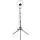 HAMA Ring Light SpotLight Steady 120 V2 BT Black (00004659)