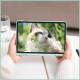 Чехол для планшета BeCover Soft Edge Samsung Galaxy Tab S9 (SM-X710/SM-X716) / S9 FE (SM-X510/SM-X516B) 11.0" Green (710776)