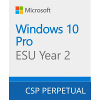 Microsoft Windows 10 ESU Year 2 (2026 - 2027) (DG7GMGF0SSGZ-0001)