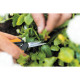 Fiskars Ножницы Solid Micro-Tip SP13, 14 см, 43г (1051600)