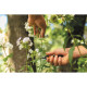 Fiskars Ножницы Solid Micro-Tip SP13, 14 см, 43г (1051600)