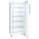 SNAIGE door cooler Snaige, 145x60х65, 270L, 1door, A++, ST, white (CC29SM-T100FE)