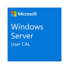 ПО для сервера Microsoft Windows Server 2025 CAL - 1 User CAL - 1 year Subscription, Commercial, Annual (DG7GMGF0PWHT_0004_P1Y_A)